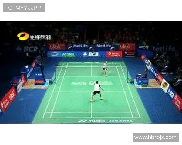 西安羽毛球队控制打法的深度分析与战术探讨 西安羽毛球队控制打法的深度分析与战术探讨