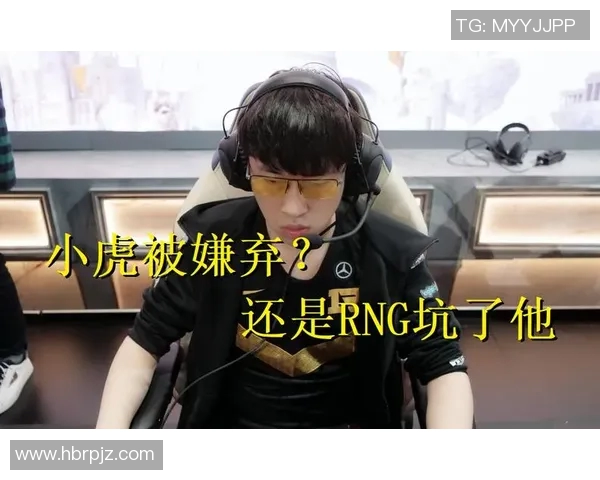 和平精英战术解析RNG战队运营体系的成功秘诀与实战应用